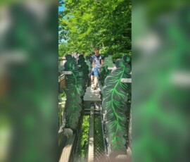 DVD Personal Sommerfest 2022